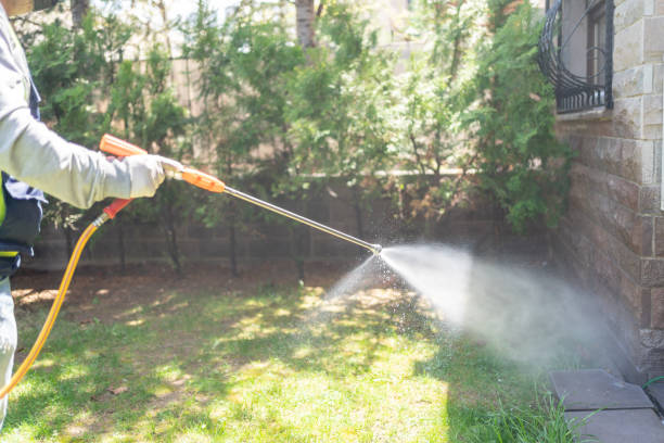 Best Organic or Eco-Friendly Pest Control  in St Robert, MO